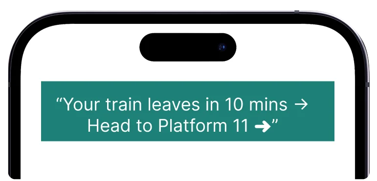 Immediate platform guidance screen when the platform is already known.